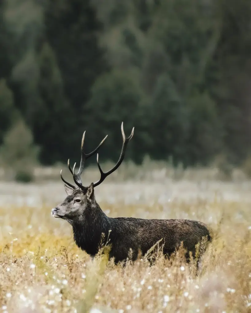 ハイキングシーズン到来！　今年行くべき “ヨーロッパの隠れた宝石” ラトビアへ ― 4つの国立公園で楽しむサステナブル旅 画像 10