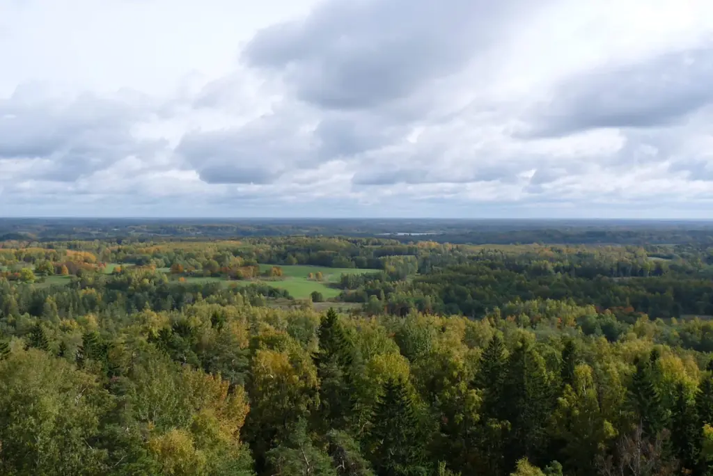 ハイキングシーズン到来！　今年行くべき “ヨーロッパの隠れた宝石” ラトビアへ ― 4つの国立公園で楽しむサステナブル旅 画像 6