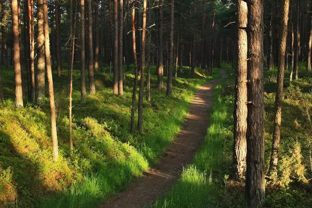 ハイキングシーズン到来！　今年行くべき “ヨーロッパの隠れた宝石” ラトビアへ ― 4つの国立公園で楽しむサステナブル旅 画像 8