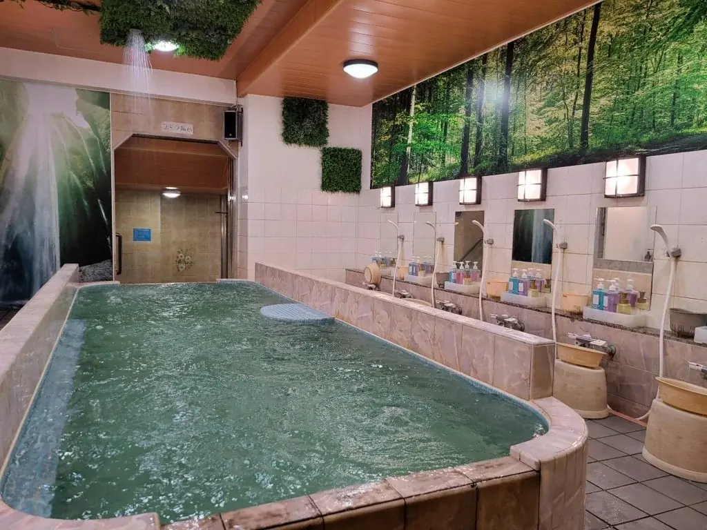 サウナ・温浴サブスクリプションサービス「FLEXKEY」3月より提携施設が13施設増加し、合計27施設を横断利用可能に 画像 4