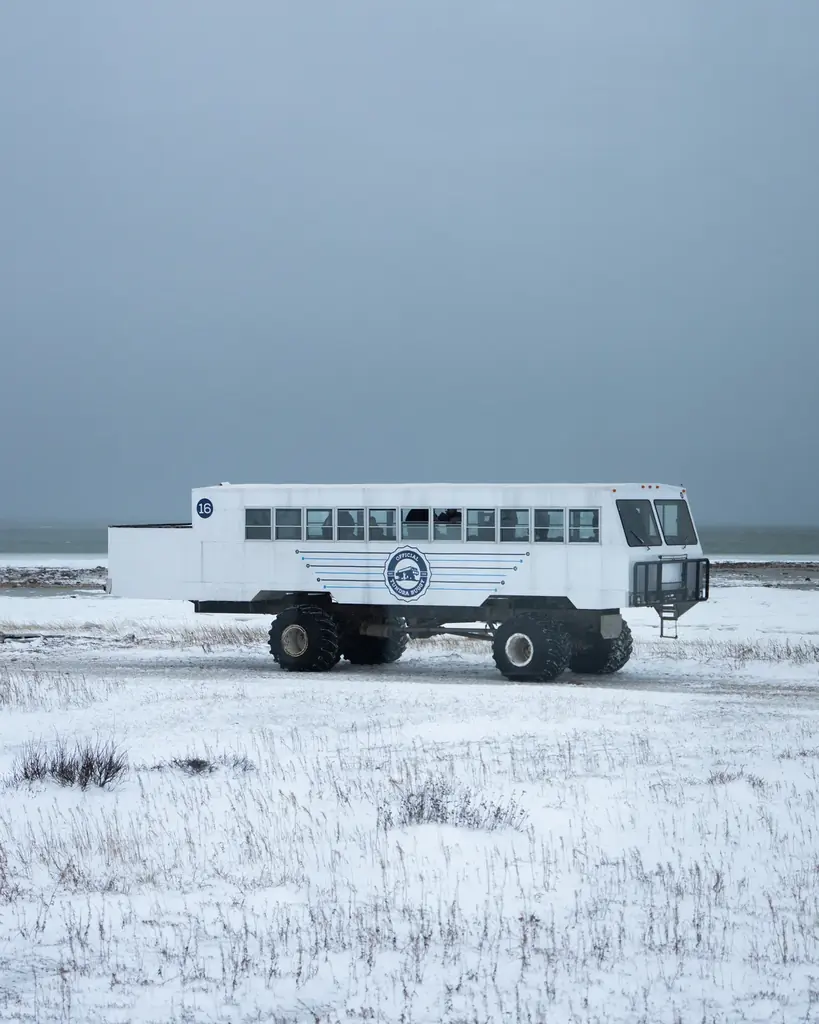 カナダグース、国際ホッキョクグマの日に北極への敬意と保全支援を込めた限定コレクションを発表 画像 5