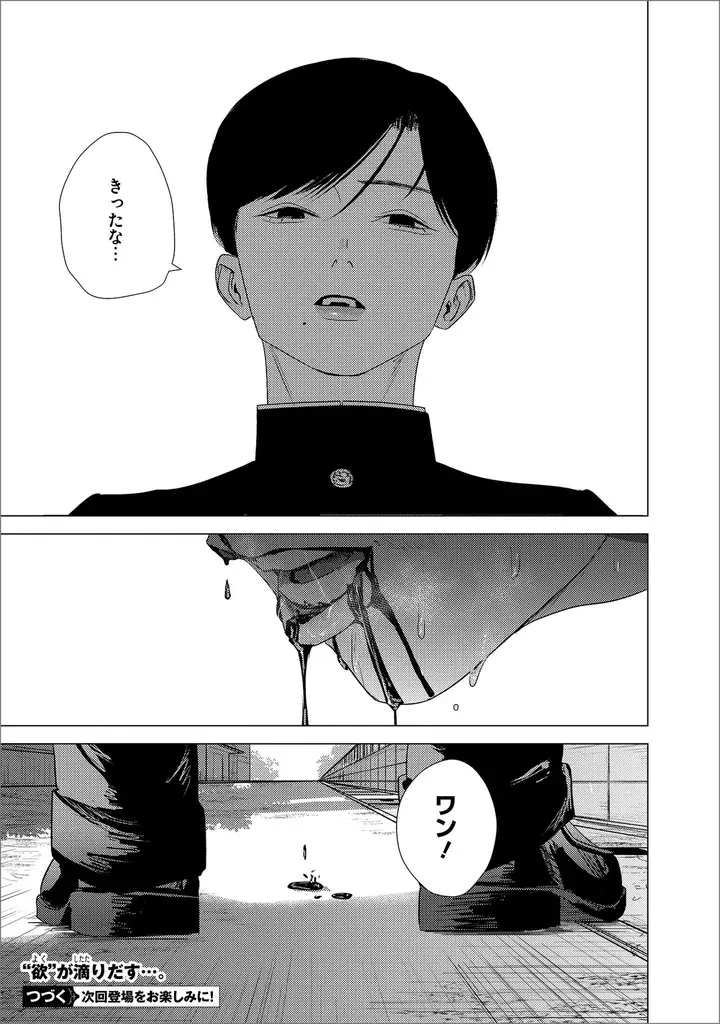 美しき生徒会長×平凡不良、戦慄の共依存ボーイミーツボーイ！ 『君が言うには犬の恋　上』2026年2月27日（金）発売 画像 11