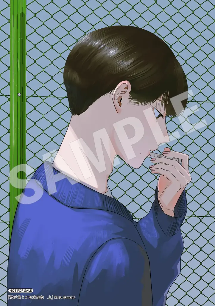 美しき生徒会長×平凡不良、戦慄の共依存ボーイミーツボーイ！ 『君が言うには犬の恋　上』2026年2月27日（金）発売 画像 14