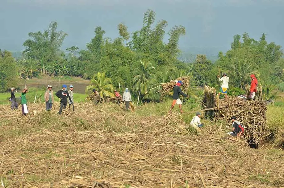 伝統産業消滅の危機！二百年の職人技で作る「クラフト黒糖」を使った日本橋三越本店限定グルメが登場！約50ブランドから未来に残したい手仕事の味をお届け。 画像 3