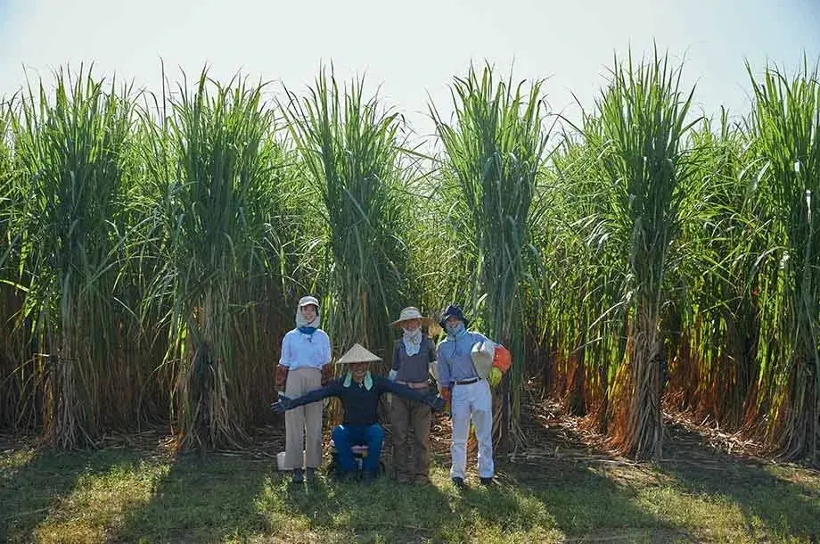 伝統産業消滅の危機！二百年の職人技で作る「クラフト黒糖」を使った日本橋三越本店限定グルメが登場！約50ブランドから未来に残したい手仕事の味をお届け。 画像 4
