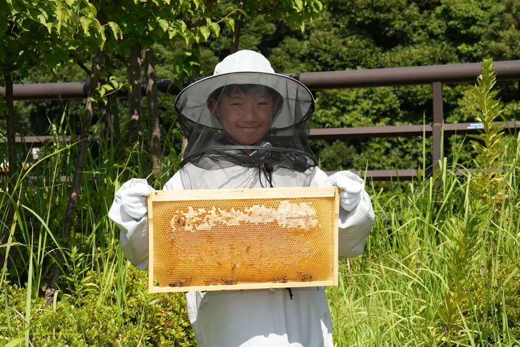 【ホテル椿山荘東京】庭園に舞う100旒の鯉のぼりと、夜を彩るマジックの饗宴「ゴールデンウィーク“マジカルナイト”ファミリービュッフェ」4月29日よりスタート 画像 3