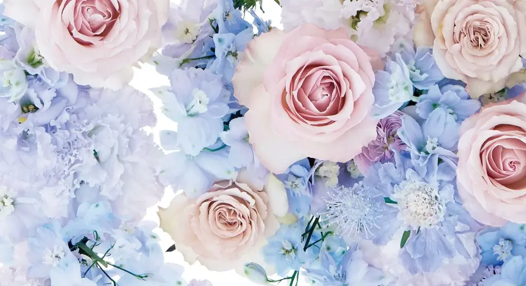 粧美堂のコスメブランド「Meica」×日比谷花壇が初コラボ。花束を贈られたような喜びを届けるスペシャルパッケージが誕生。 画像 4