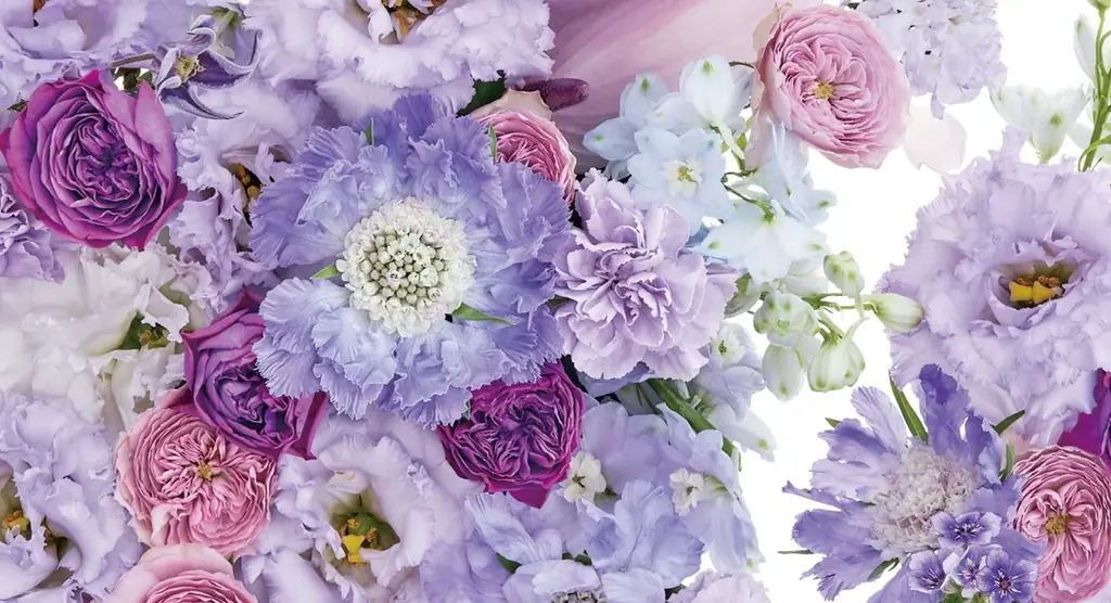 粧美堂のコスメブランド「Meica」×日比谷花壇が初コラボ。花束を贈られたような喜びを届けるスペシャルパッケージが誕生。 画像 5