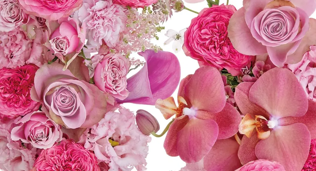 粧美堂のコスメブランド「Meica」×日比谷花壇が初コラボ。花束を贈られたような喜びを届けるスペシャルパッケージが誕生。 画像 6