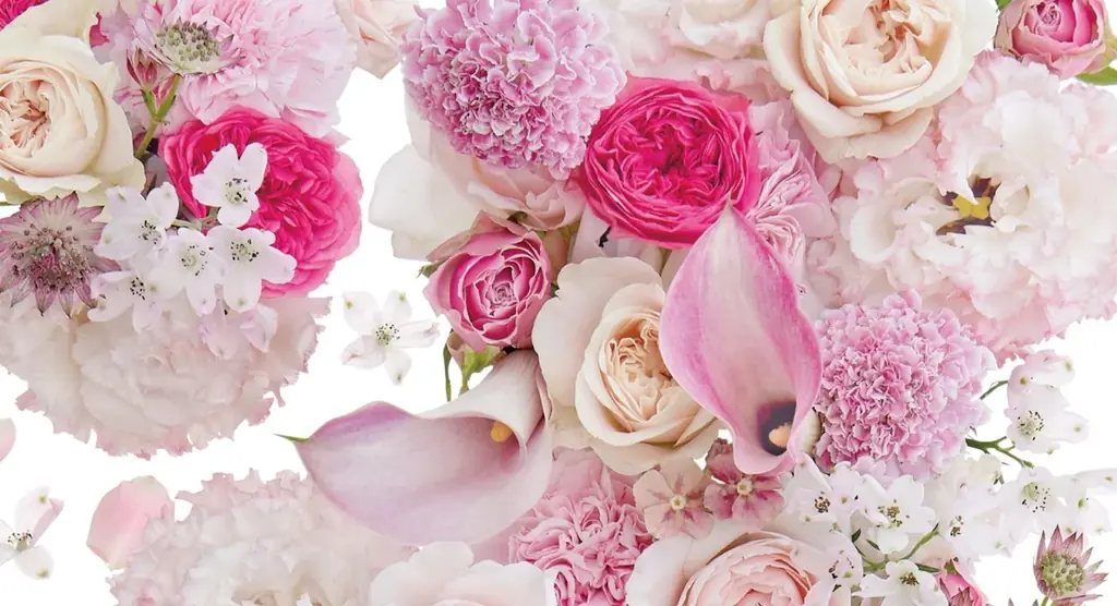 粧美堂のコスメブランド「Meica」×日比谷花壇が初コラボ。花束を贈られたような喜びを届けるスペシャルパッケージが誕生。 画像 7