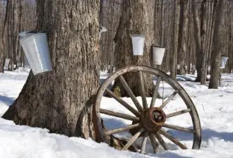 【最大20％クーポン配布中】カナダの美味しい「春」を食べよう！春のカナダフェア開催！ 画像 3