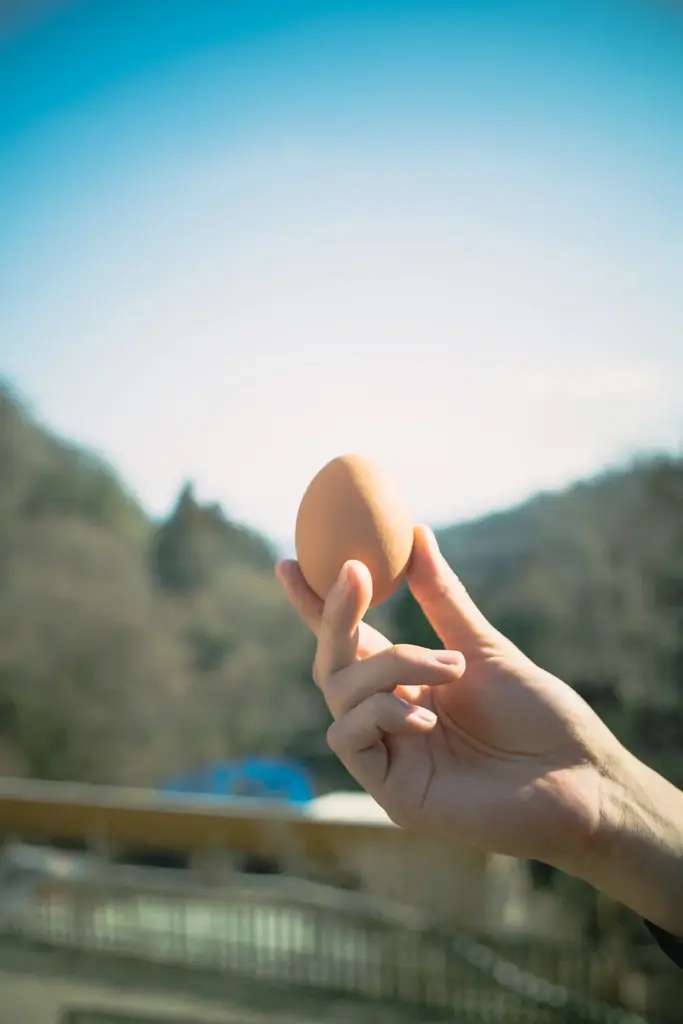 【2026/3/1リニューアルOPEN】大阪・奈良県境「暗峠」で、里山の休日を。絶景×たまご×キャンプ×どうぶつを一度に楽しめる「クラガリビレッジ」が本格始動 画像 2