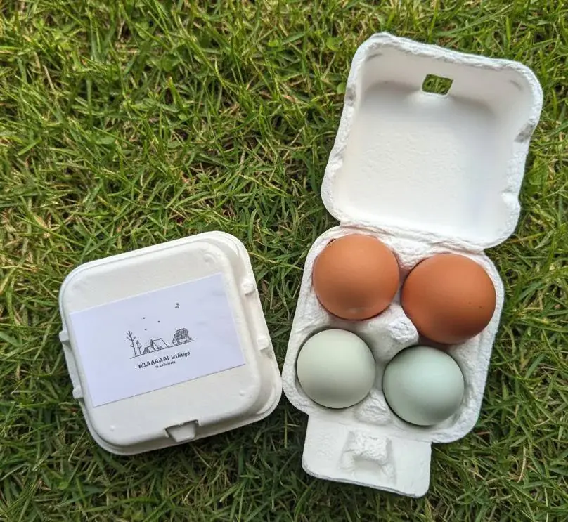 【2026/3/1リニューアルOPEN】大阪・奈良県境「暗峠」で、里山の休日を。絶景×たまご×キャンプ×どうぶつを一度に楽しめる「クラガリビレッジ」が本格始動 画像 5