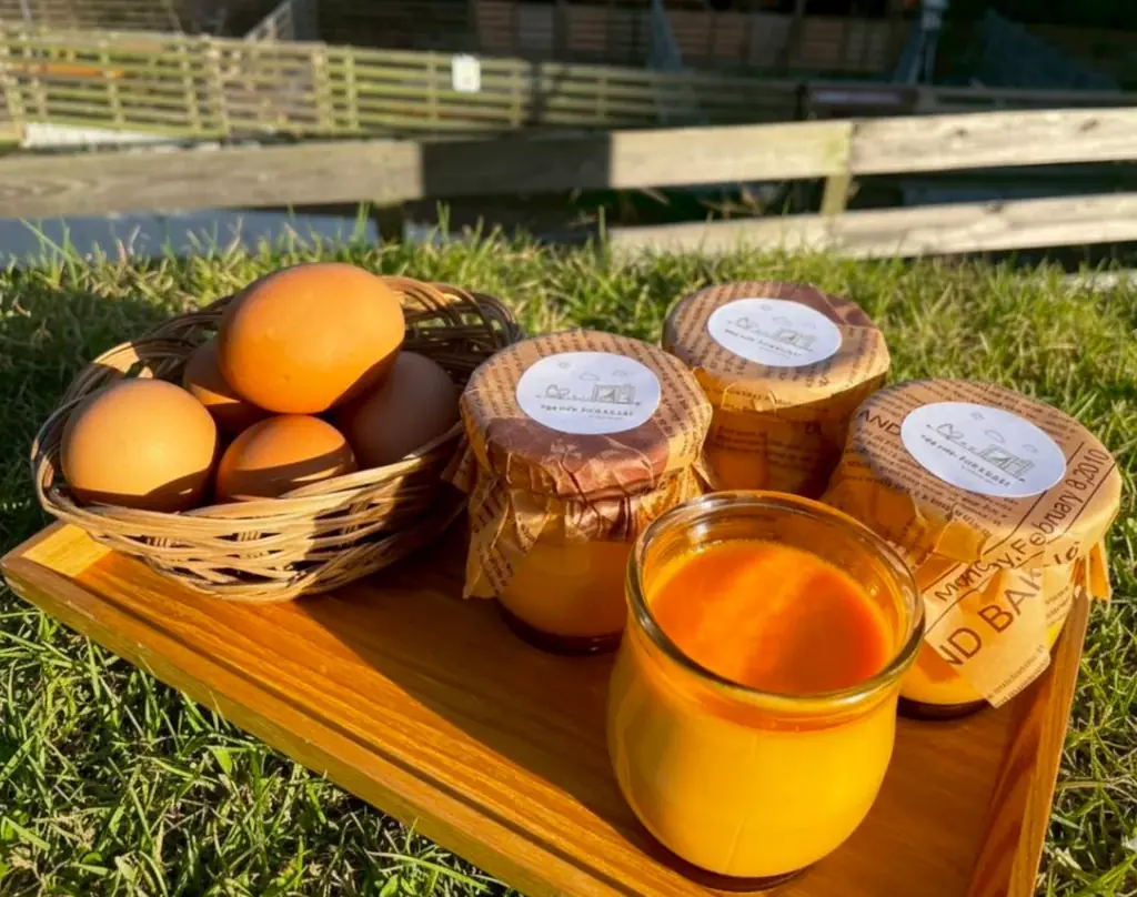 【2026/3/1リニューアルOPEN】大阪・奈良県境「暗峠」で、里山の休日を。絶景×たまご×キャンプ×どうぶつを一度に楽しめる「クラガリビレッジ」が本格始動 画像 6