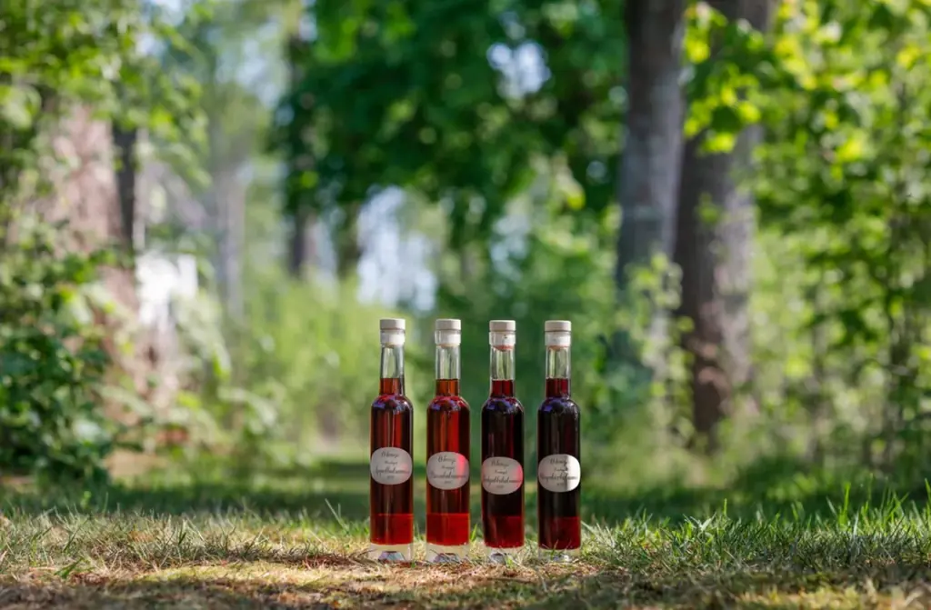 持続可能性と美味しさを両立するスウェーデン食品がFOODEX 2026に集結 画像 7