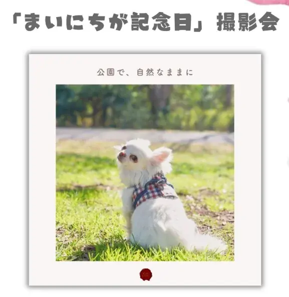 いよいよ開催！【水元ドッグフェスティバル】2026年2月28日・3月1日 画像 3