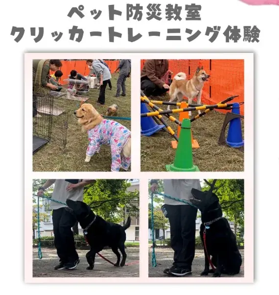 いよいよ開催！【水元ドッグフェスティバル】2026年2月28日・3月1日 画像 5