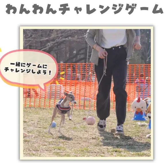 いよいよ開催！【水元ドッグフェスティバル】2026年2月28日・3月1日 画像 6