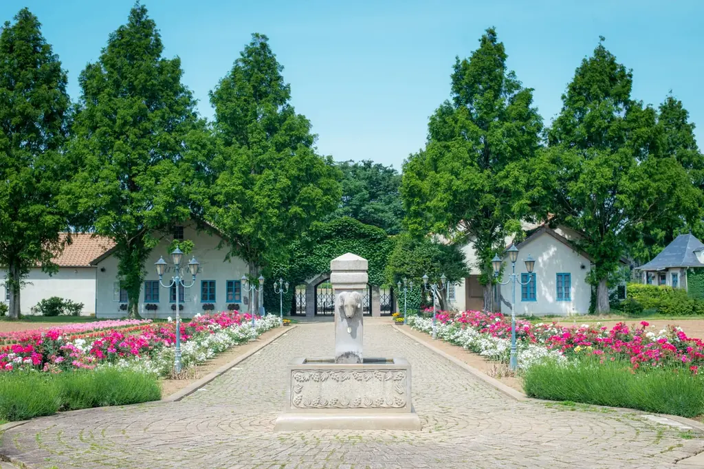 子ども料金「半額」に！茨城県の「こもれび森のイバライド」にて『いこーよスペシャルデー』を開催！ 画像 2