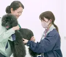 【残り6日】「人と動物が共生するまち」を目指して、愛知県豊橋市が実施中のクラウドファンディングへの温かいご支援をお願いします！！ 画像 1