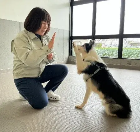 【残り6日】「人と動物が共生するまち」を目指して、愛知県豊橋市が実施中のクラウドファンディングへの温かいご支援をお願いします！！ 画像 2