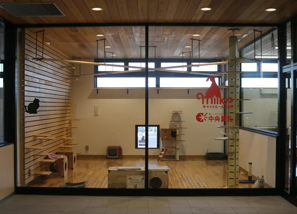 【残り6日】「人と動物が共生するまち」を目指して、愛知県豊橋市が実施中のクラウドファンディングへの温かいご支援をお願いします！！ 画像 3