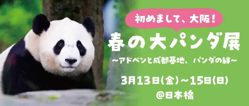 3月13日開幕 大阪初上陸「春の大パンダ展」