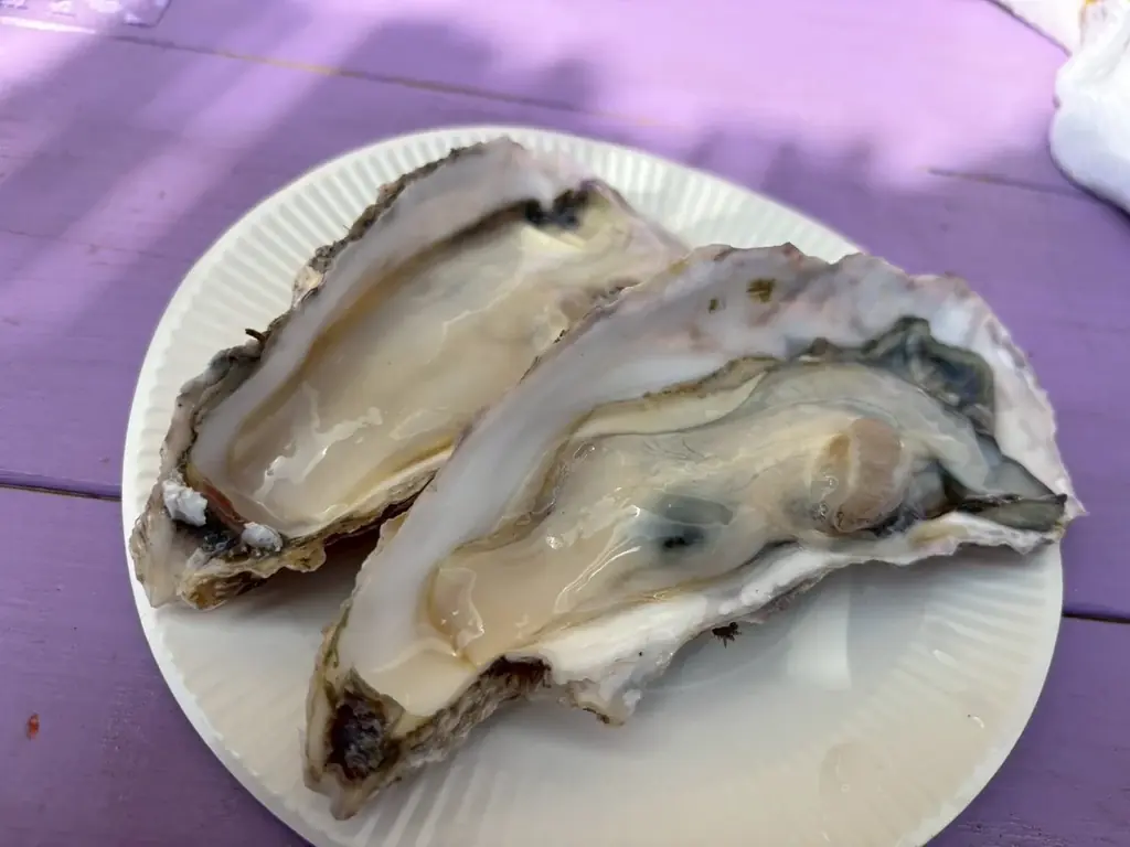 【泉南市制55周年】冬の食フェス「泉南あったかいもんフェス」2026年3月8日（日曜日）3月21日（土曜日）開催！“泉南チャーハンプロジェクト”も始動。前回のイベントレポートもご覧ください 画像 7