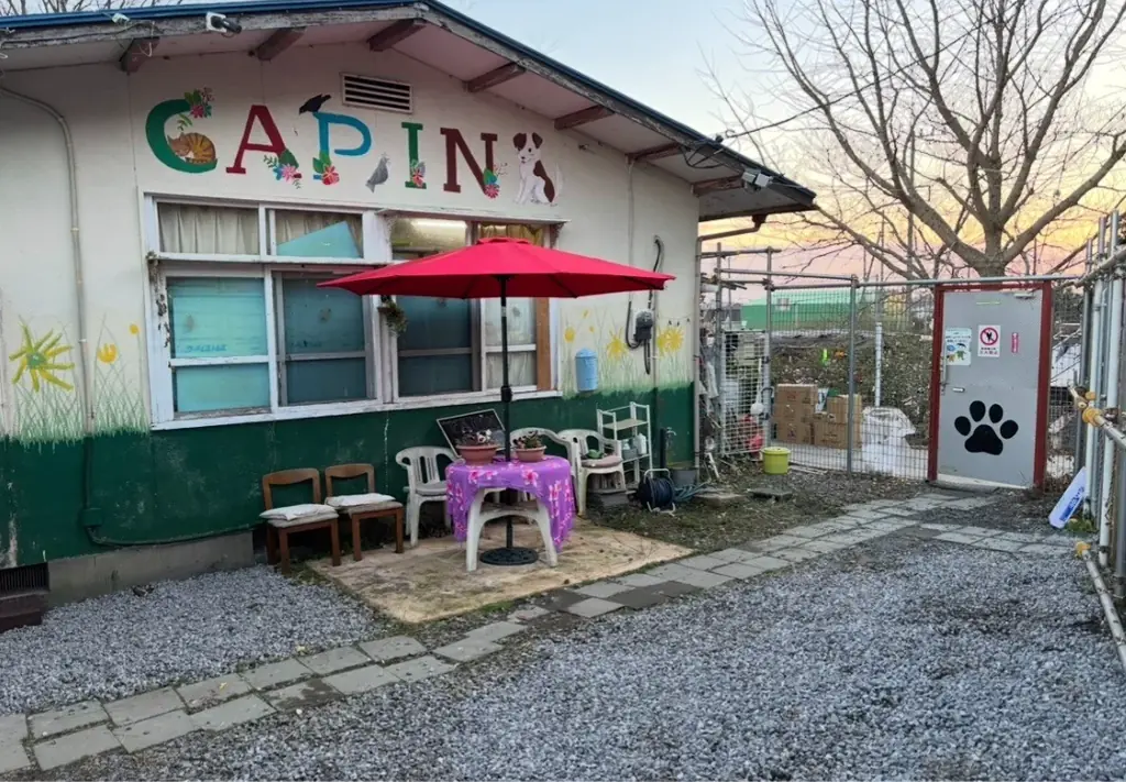 茨城県の犬猫殺処分ゼロを支える拠点が危機 画像 1