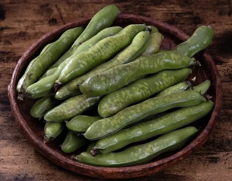 鹿児島県産ちょっと訳あり「しもやけそらまめ」を豊洲市場ドットコムでお取り寄せ！市場から直送する新鮮な空豆をたっぷり楽しんでください。 画像 1