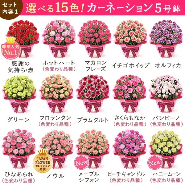 【日本最大級】100種以上のラインナップを誇る「おいもや」の母の日ギフト、3月1日よりグランドオープン 画像 5