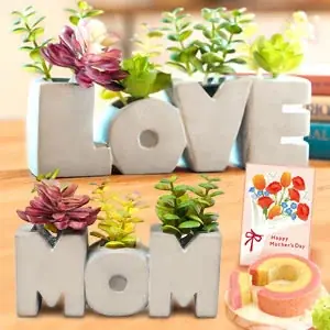 【日本最大級】100種以上のラインナップを誇る「おいもや」の母の日ギフト、3月1日よりグランドオープン 画像 8