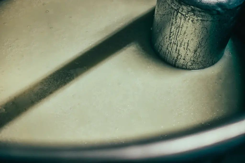 350年の伝統に、「真実」を刻む。玉乃光酒造『350×プロジェクト』第4弾発表。初の「料理人」熟成鮨 万（よろず）の白山 洸を迎え、台湾・韓国・京都の6名の異才たちが紡ぐ6つの物語。 画像 2