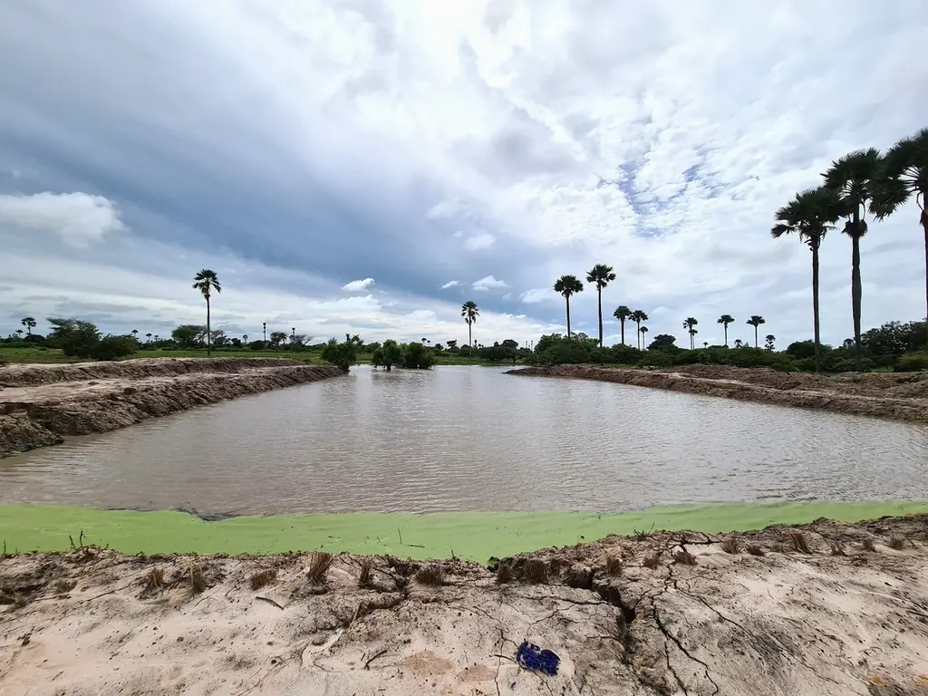 セネガルでの「農家による土と水と森の再生と維持管理プロジェクト」が第7回「SDGsジャパンスカラシップ岩佐賞」を受賞しました 画像 1