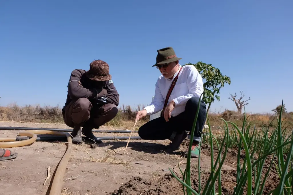 セネガルでの「農家による土と水と森の再生と維持管理プロジェクト」が第7回「SDGsジャパンスカラシップ岩佐賞」を受賞しました 画像 2