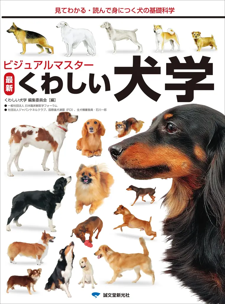 【重版出来】2026年3月に重版する書籍たちをご案内！ 画像 7