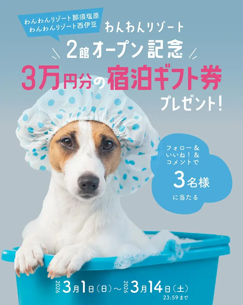 「いいふろギフト券」3万円分が最大6名様に当たる！3月1日Instagram ＆ X プレゼントキャンペーンがスタート！ 画像 2