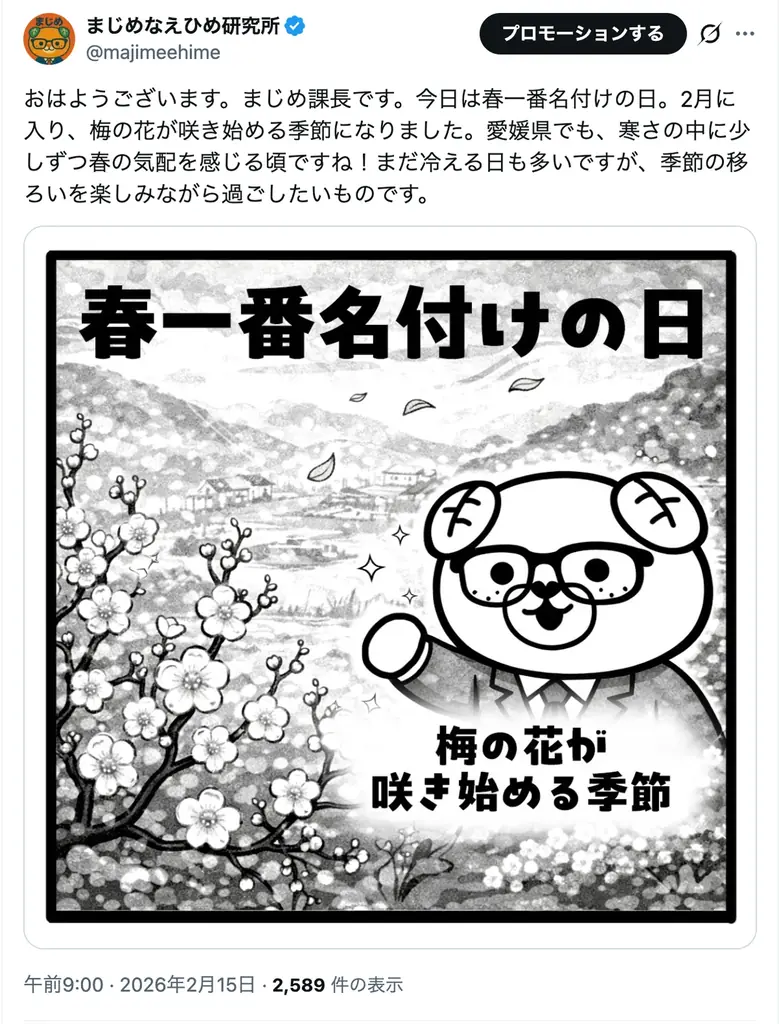 【まじめえひめ公式X プレゼントキャンペーン】柑橘のサラブレッド！？愛媛の柑橘のニューフェイス“紅プリンセス”をプレゼント！ 画像 2