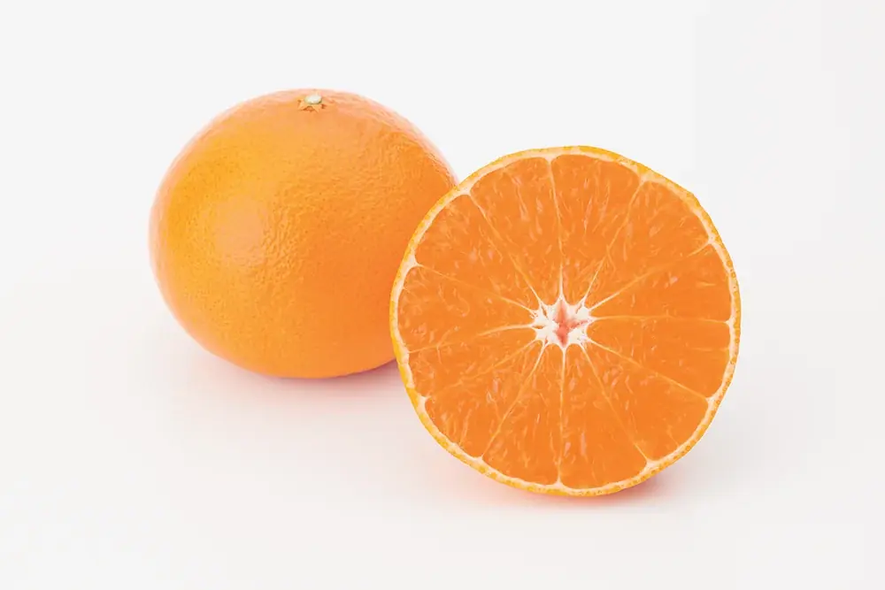 【まじめえひめ公式X プレゼントキャンペーン】柑橘のサラブレッド！？愛媛の柑橘のニューフェイス“紅プリンセス”をプレゼント！ 画像 5