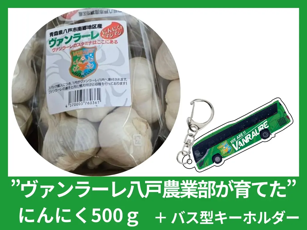 ヴァンラーレ八戸、クラウドファンディング ”時は来た。悲願共闘。ヴァンラーレバスを走らせようプロジェクト #選手バスクラファン” が、1st Goalの300万円を達成し、バスのラッピング決定！ 画像 3
