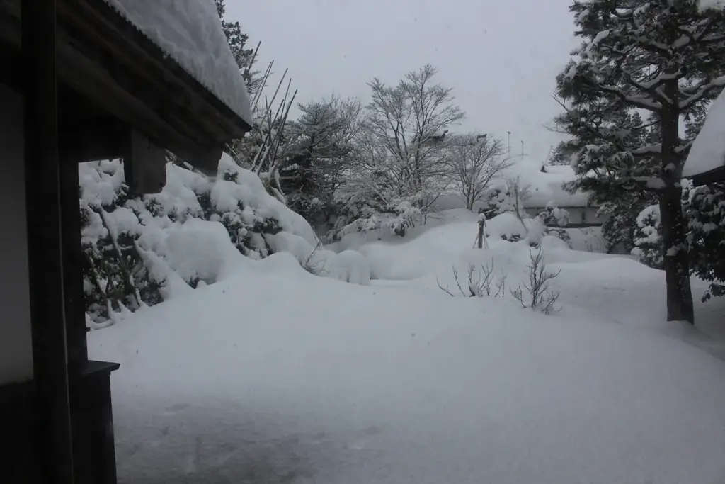 【新潟・関川村】雪深い冬の重要文化財で「第2回 日本の伝統文化を味わう会」を開催。偶然の縁とプロの技が交差した、濃密な茶席体験 画像 2