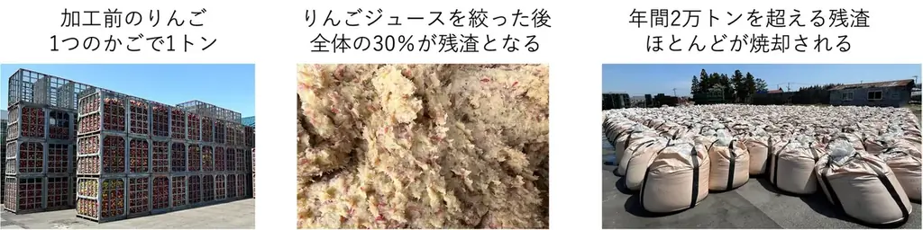 青森発スタートアップappcycleの新ブランド「Golden Seed®」を自社サイトにて先行予約販売開始！【200個限定】 画像 5