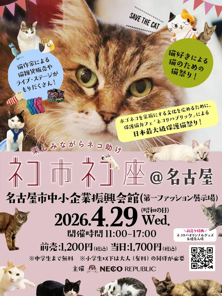 猫好き、全員集合！「ネコ市ネコ座2026」名古屋・吹上ホール開催。　みりちゃむ初登場＆敦士ら豪華ゲストと”猫が助かる、猫祭り”4月29日（水・祝日）開催 画像 17