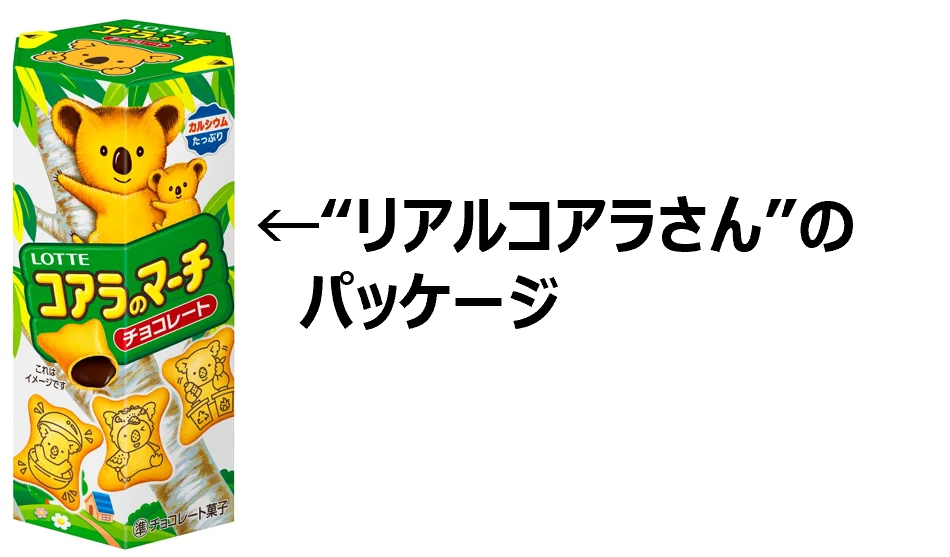 史上初！「プロフを探す」コアラのマーチ　キミや推しのプロフはみつかるかな！？誕生日、西暦、干支、血液型・・・絵柄の組み合わせは約17万通り！ 画像 8