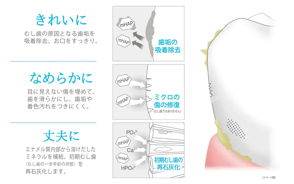 【あなたの推しはどれ？】#アパガードクリスタル歯ブラシ推し色グランプリを決めるキャンペーンを開催！― 春のリニューアル記念！2026年3月1日(日)～5月18日(月)まで ― 画像 13