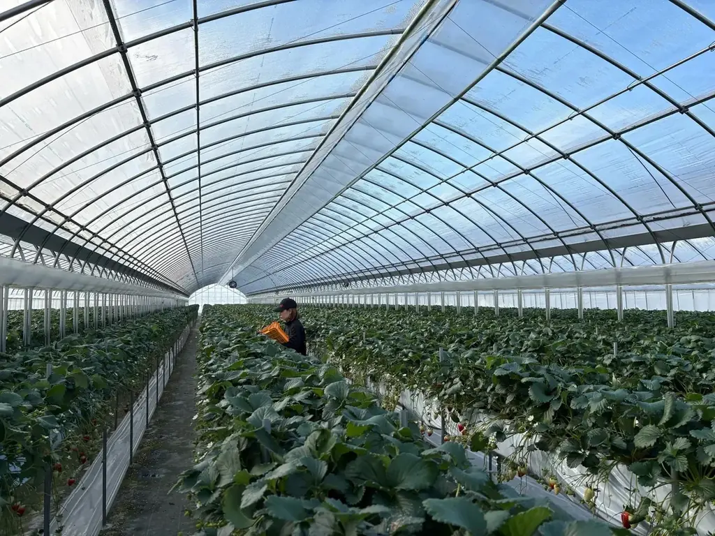 「Nicolai Bergmann Flowers & Design」×「CRAFT WONDER」コラボレーションギフトが3/13(金)から3日間限定でエストネーション大阪店にて発売 画像 6