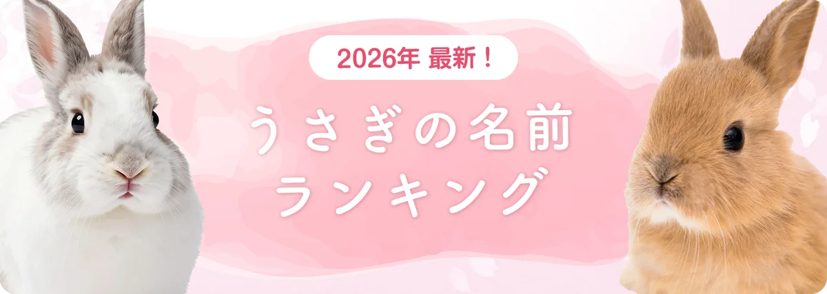 2025年版 うさぎの名前ランキング｜ムギが新トップに