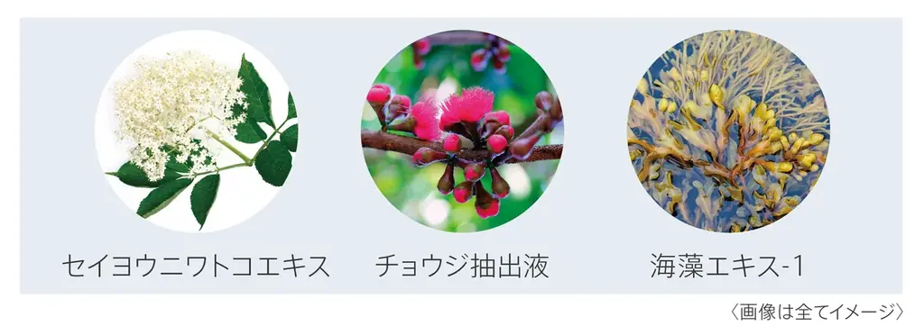 45年間、美容におけるヒアルロン酸を研究するDEWから、水光ブライトニング乳液が2026年3月7日（土）に新発売 画像 5