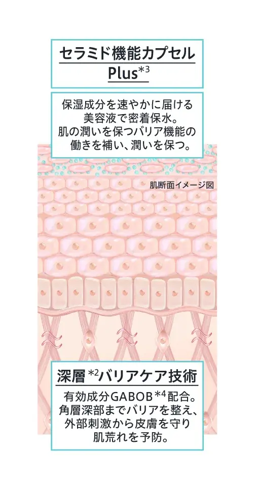 敏感肌用化粧品売上No.1*¹の「Curél（キュレル）」から『潤浸保湿 角層深部バリア美容液』が3月7日（土）より新発売！ 画像 2