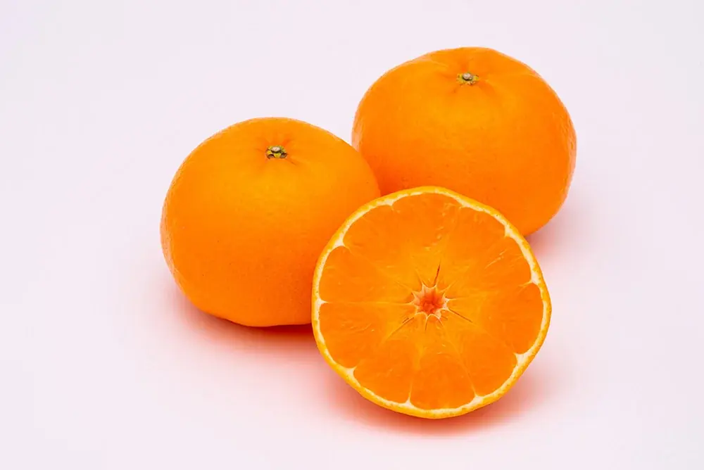 【キル フェ ボン】佐賀県が20年以上の歳月をかけて開発したブランド柑橘“にじゅうまる”が主役！味も見た目もまさに“にじゅうまる”のタルト 画像 3